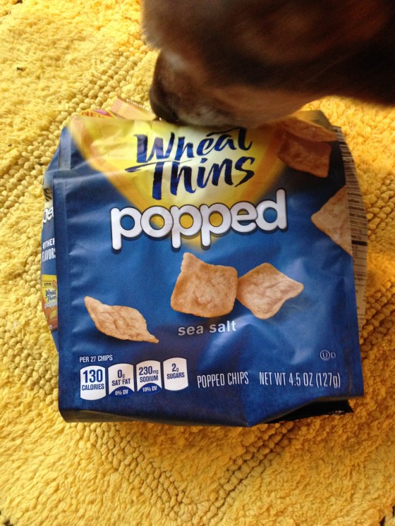 {I had a friend helping me with these photos...}