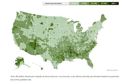 Food Insecurity Rates