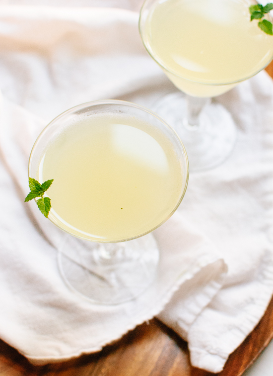 cucumber-mint-gimlet-8