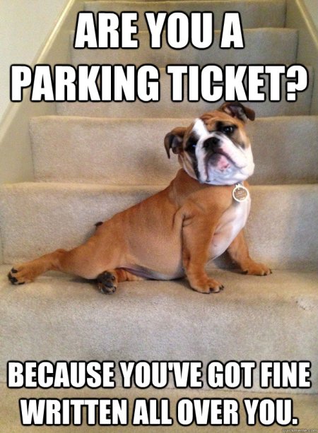 Parking Ticket